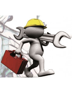 Servicio Mant. Anual...